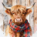 Jimmy the  highland cow wearing a plaid scarf against a wooden background
