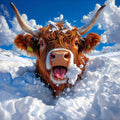 Snowy the Brown Highland cow with large horns standing in deep snow against a blue sky