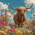 St Andrews the Highland cow in a field of flowers with a 'St Andrews' sign in the background