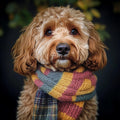 Dog wearing a colorful scarf with a dark background