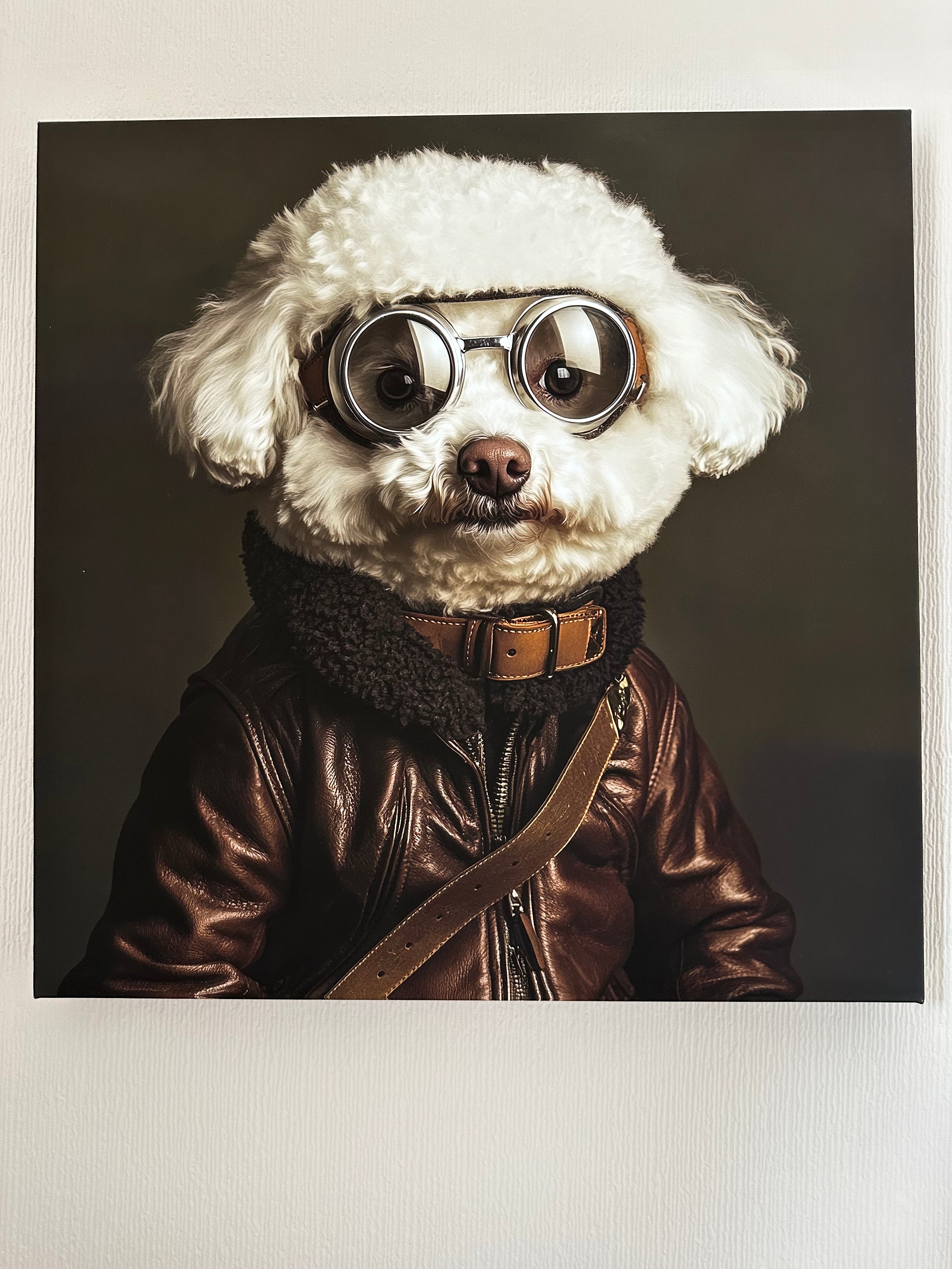 Dog wearing a leather jacket and goggles on a dark background