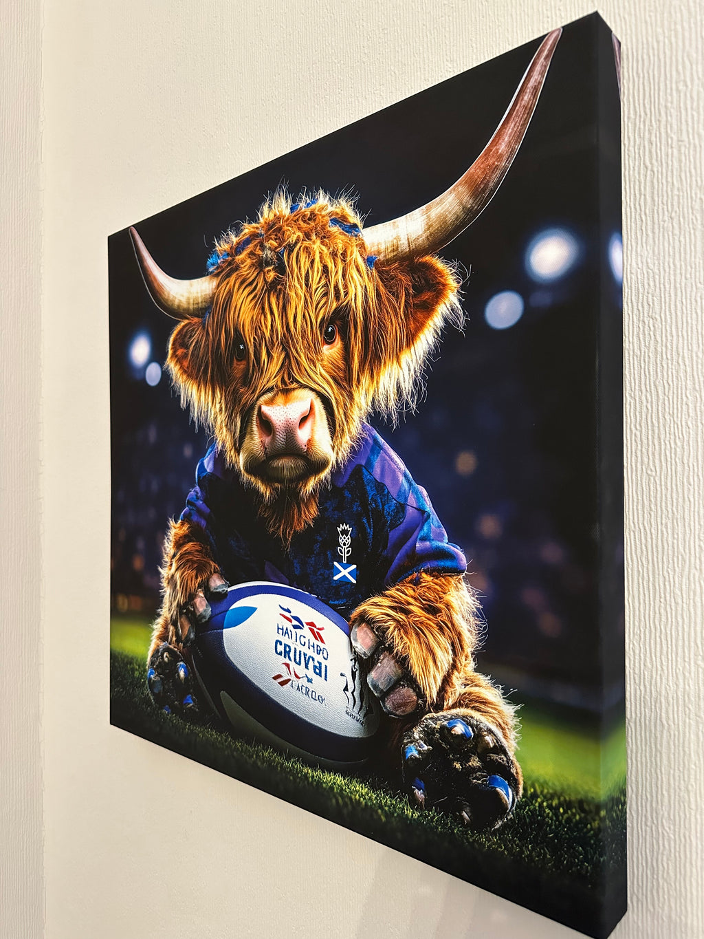 Canvas print of a Highland cow holding a rugby ball with a dark background