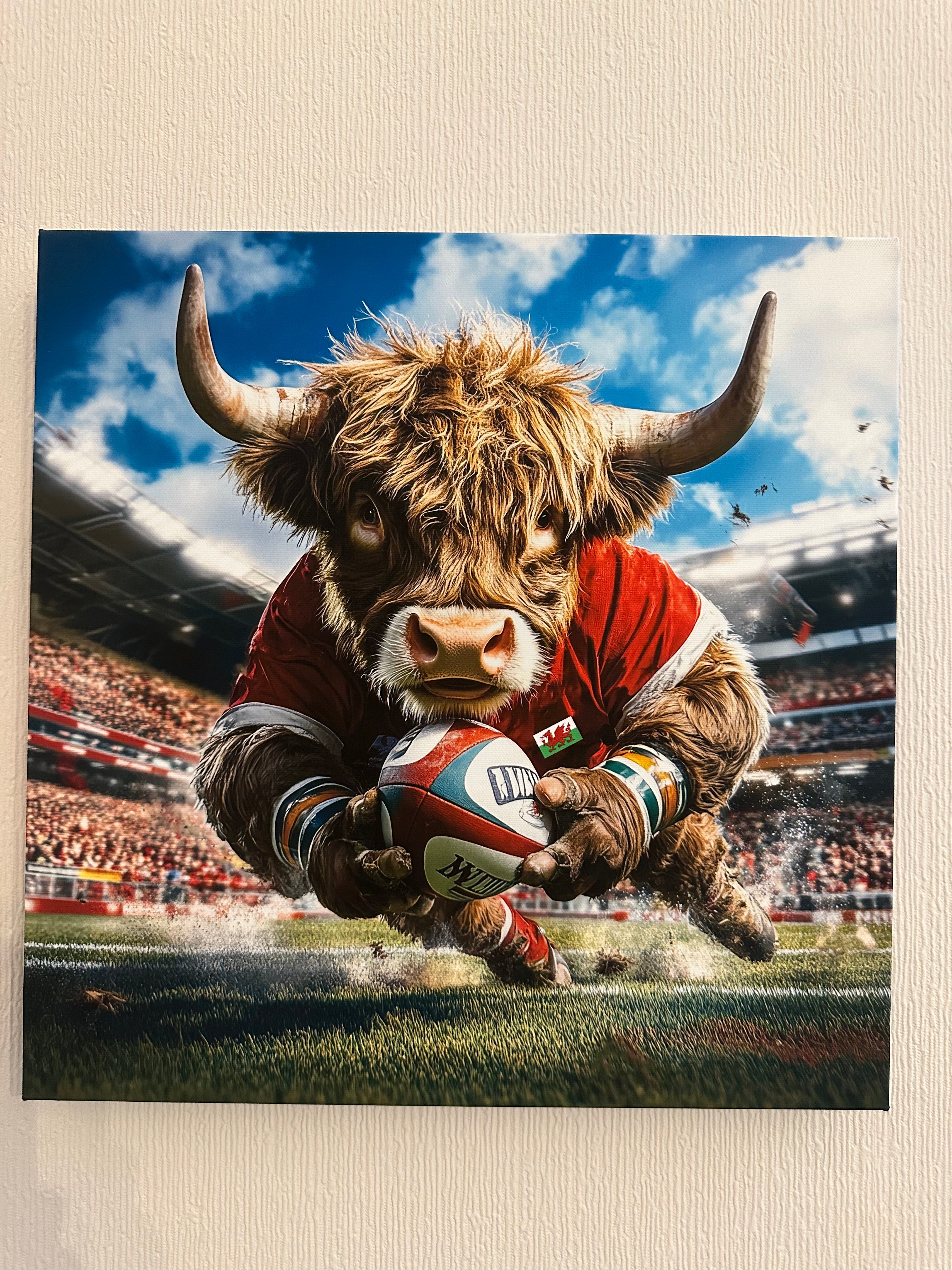 Highland cow in a red outfit with a rugby ball on a sports field