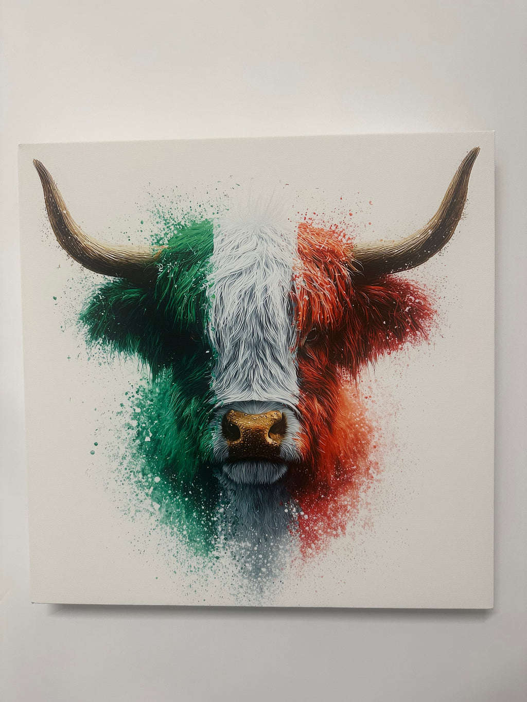 Italia the highland cow in the Italian colours