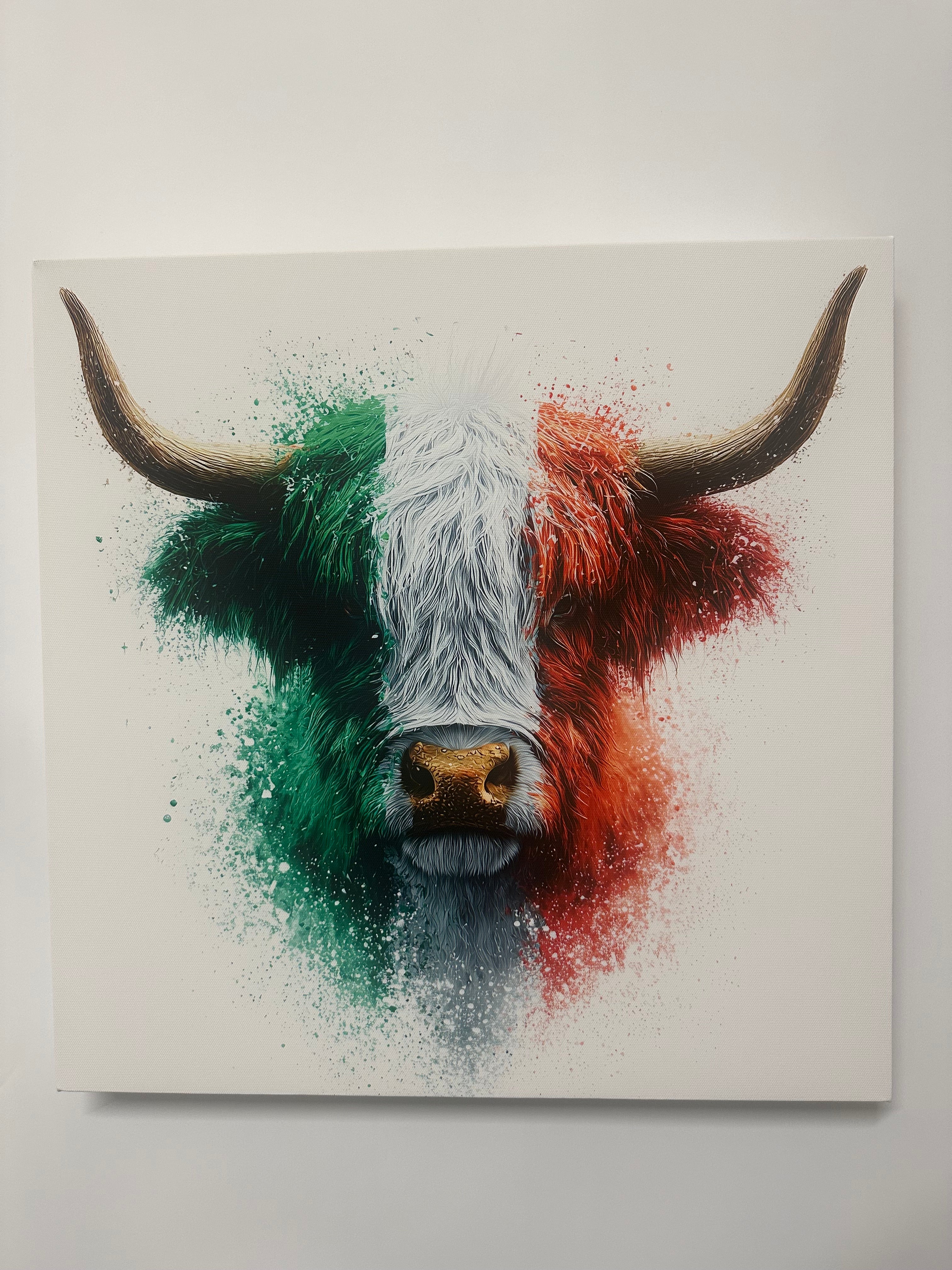 Italia the highland cow in the Italian colours