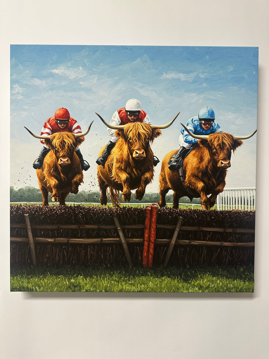 Canvas print of a highland cows with a jokey on its back, in a highland cow race