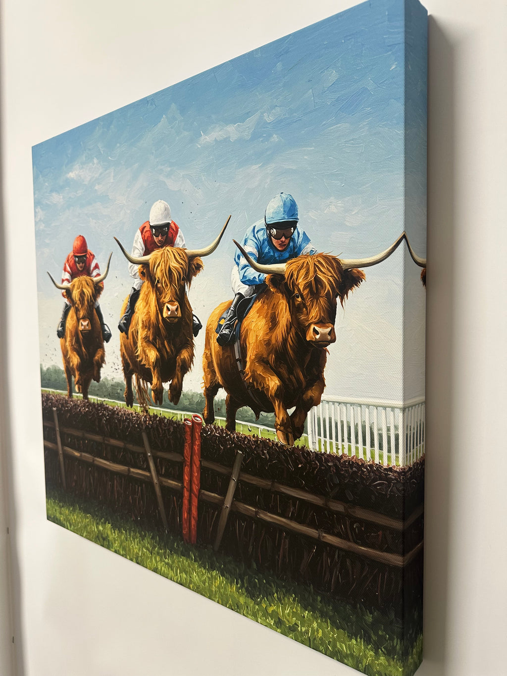 Canvas print of a highland cows with a jokey on its back, in a highland cow race