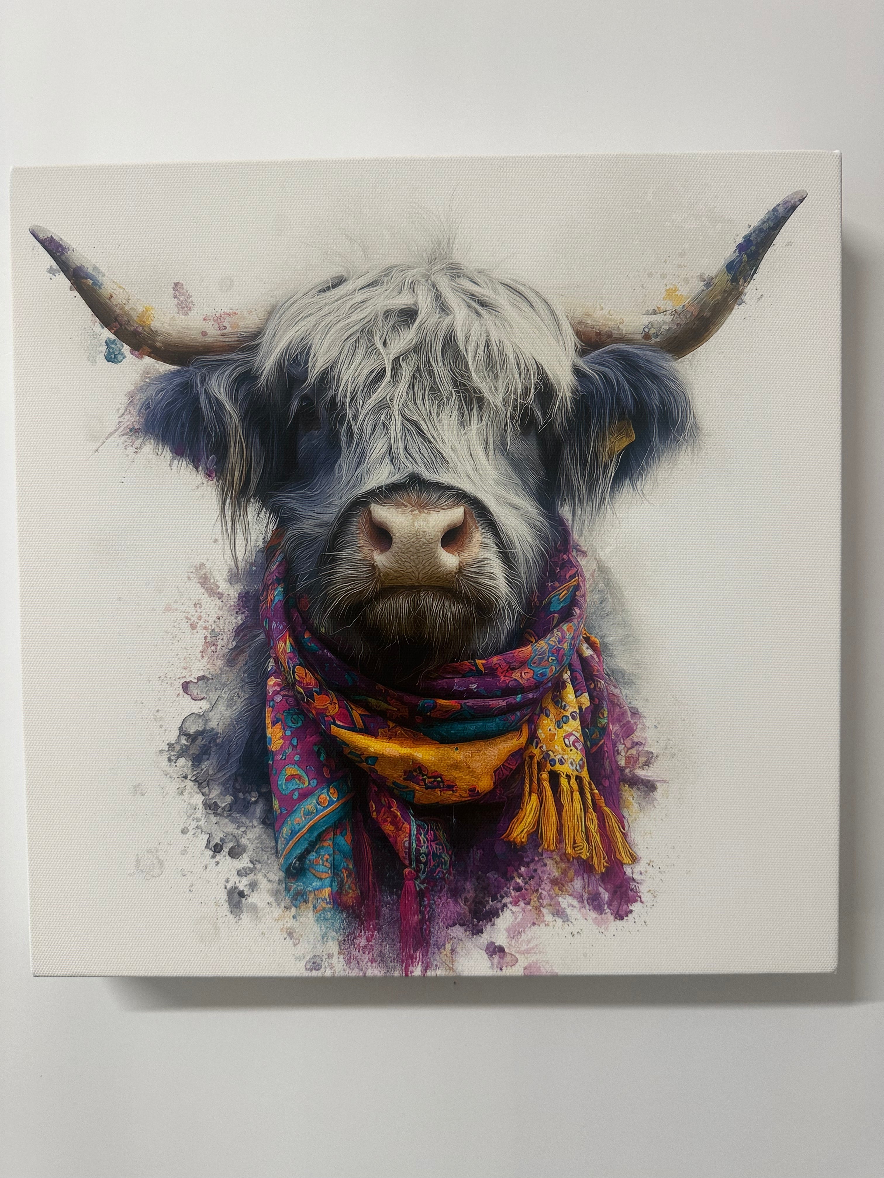 Grey the highland cow with vibrant scarf on