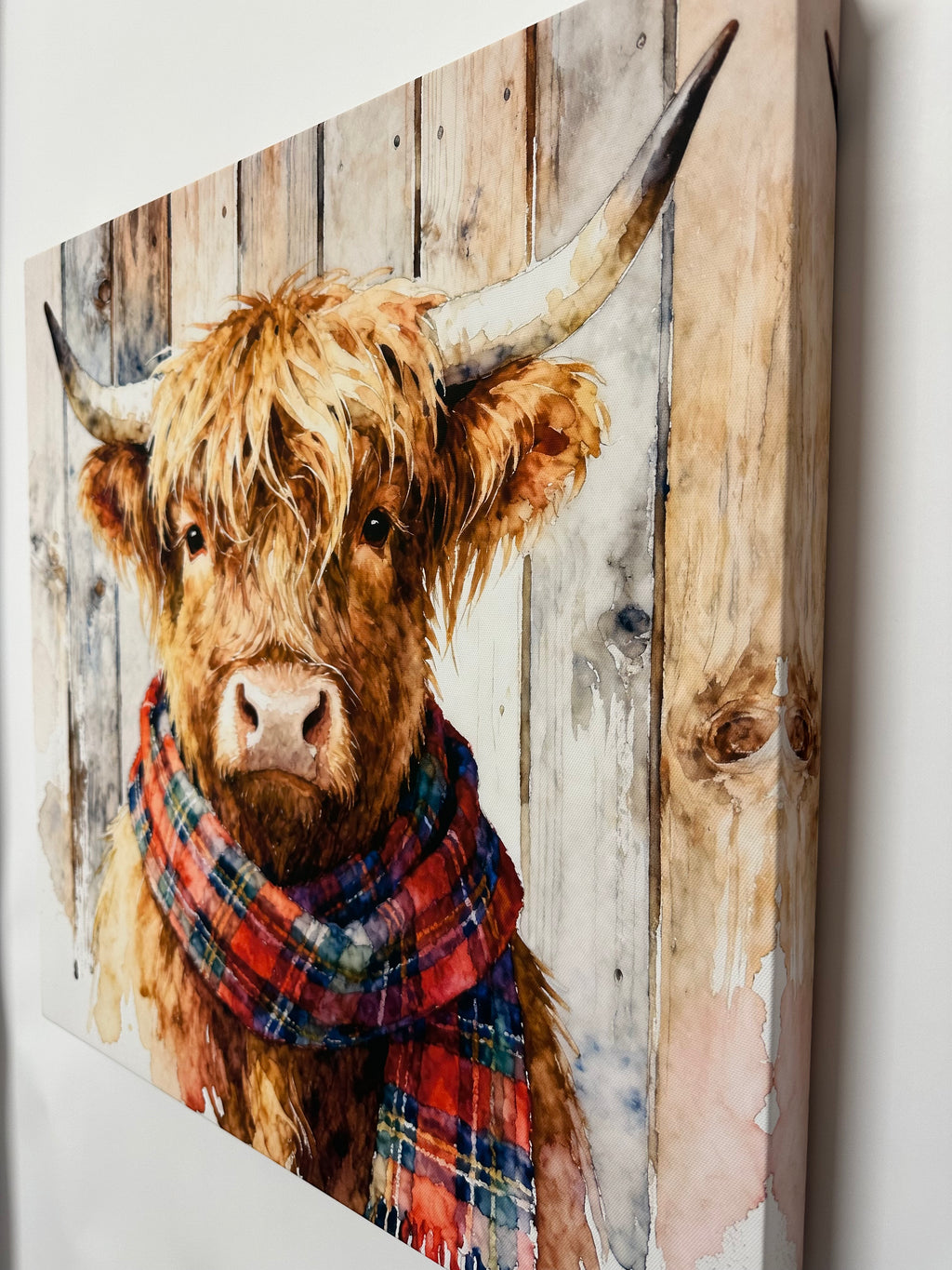 Jimmy the  highland cow wearing a plaid scarf on a wooden background