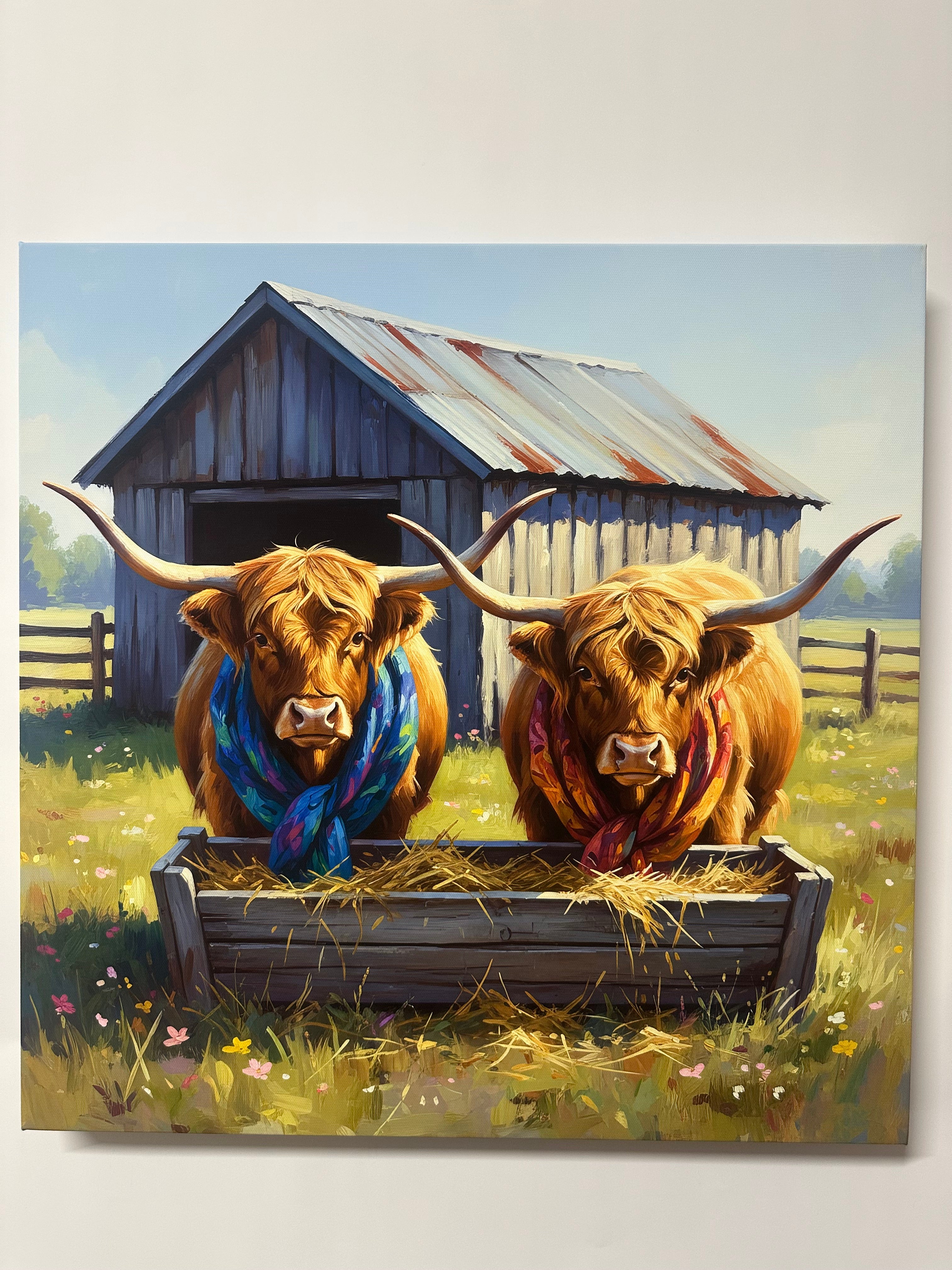 Two longhorn cows with colorful scarves in a field with a wooden shed in the background.