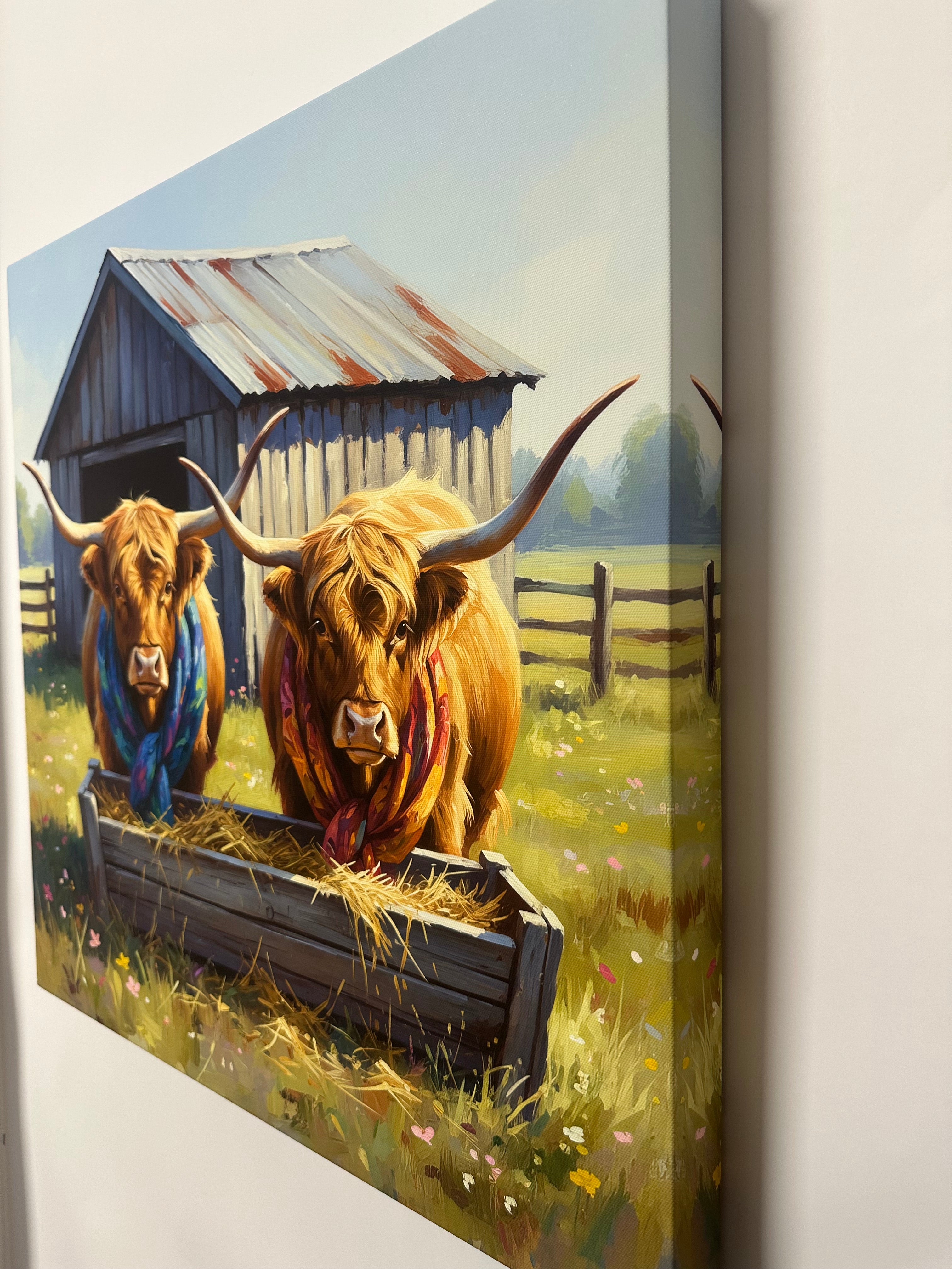 Two longhorn cows with colorful scarves in a field with a wooden shed in the background.