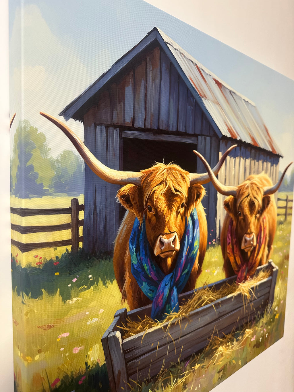 Two longhorn cows with colorful scarves in a field with a wooden shed in the background.