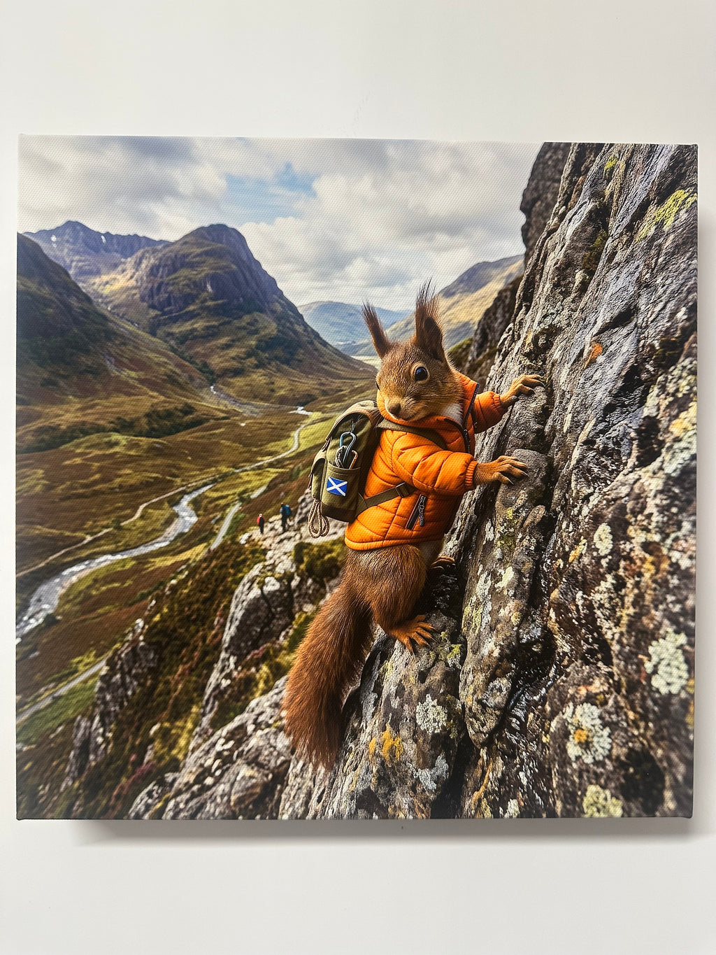 Squirrel in an orange jacket on a rock with mountain reflection