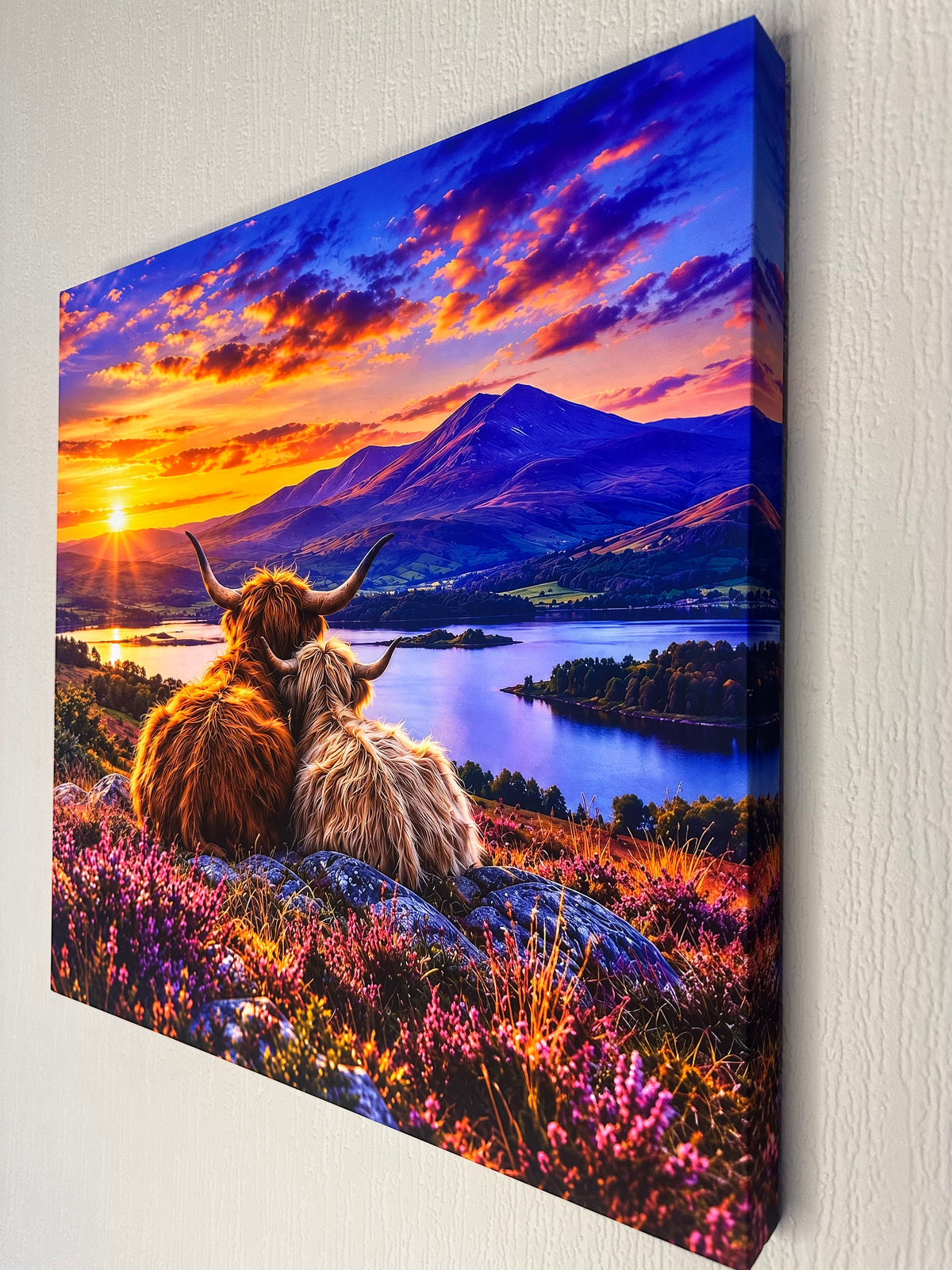 A square canvas wall art print showing two Highland cows in a meadow overlooking a lake and mountains at sunset, mounted on a light textured wall.
