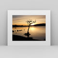Framed artwork of a tree silhouette against a sunset sky over water.
