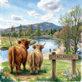 A colorful watercolor-style illustration of a scenic landscape with two Highland cows standing on a grassy path near a river, with mountains, trees, parked cars, and a wooden sign reading CALLANDER in the background.