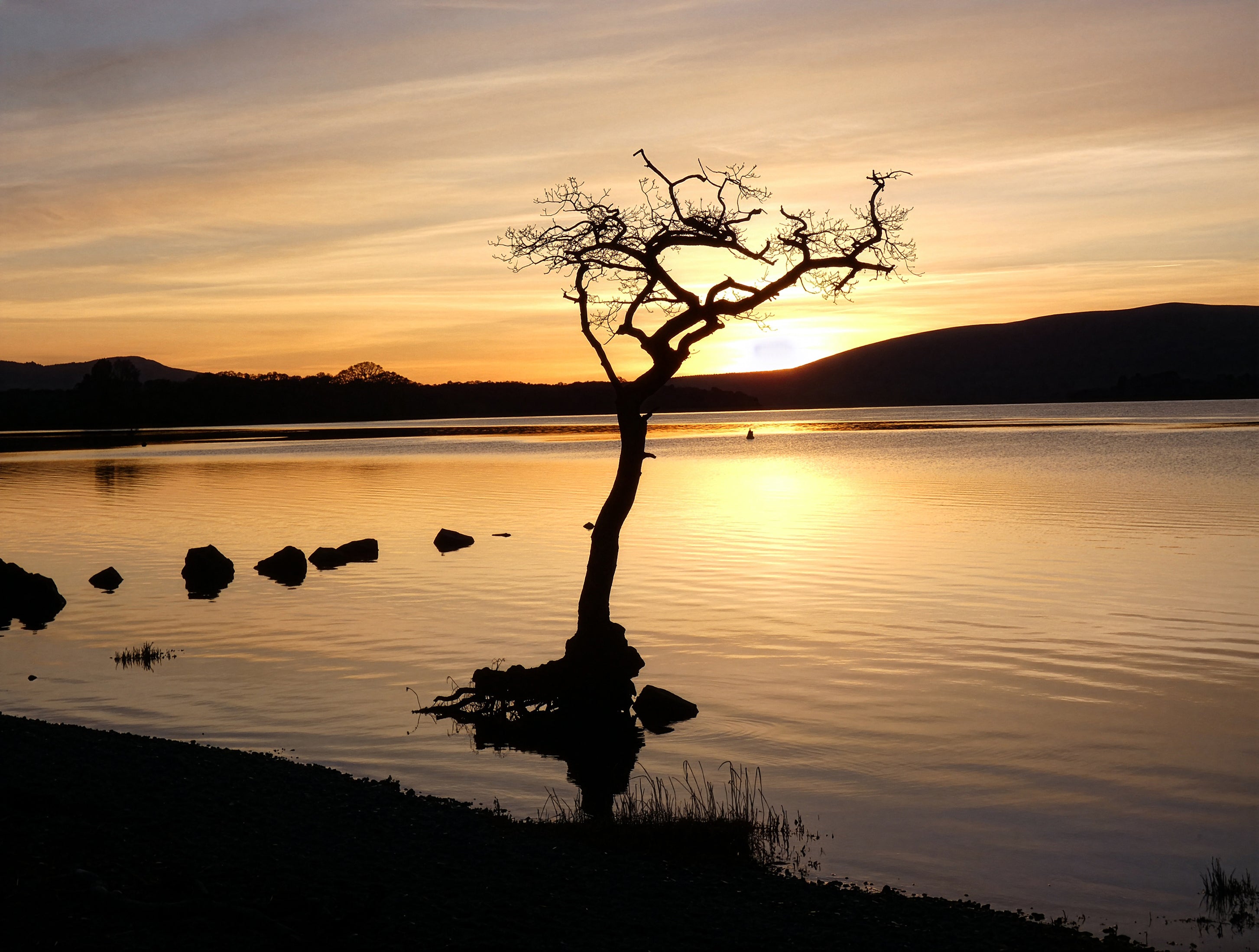 Silhouette of a tree on a lake during sunset with mountains in the background