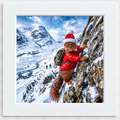 Red the Squirrel climbing in snowy Scottish Highlands photo board