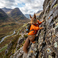 Squirrel in an orange jacket with a backpack on a mountain cliff